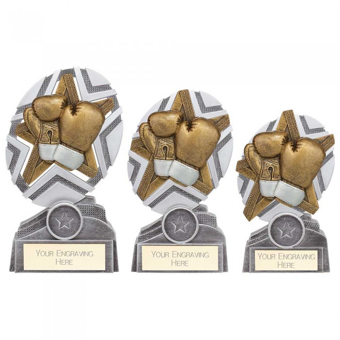 THE STARS BOXING RESIN TROPHY - 3 SIZES - 13CM - 17CM